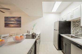 Gourmet renovated kitchens
